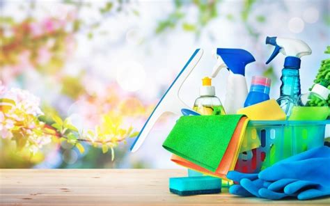 Professional Green Cleaning Services .